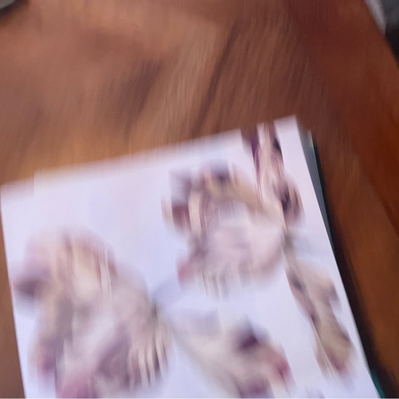 The Tulip, by Anna Pavord Hardcover Book First Edition - Picture 3 of 8